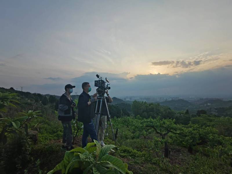 创意破圈！襄城区电商产品宣传视频用故事化叙事引爆流量