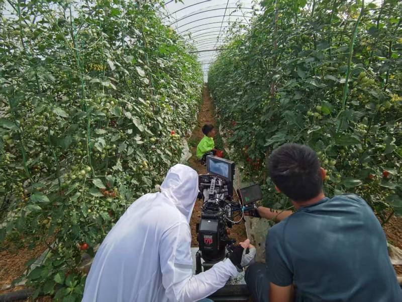 襄城区产品宣传视频拍摄公司进阶指南，助力品牌抢占传播高地